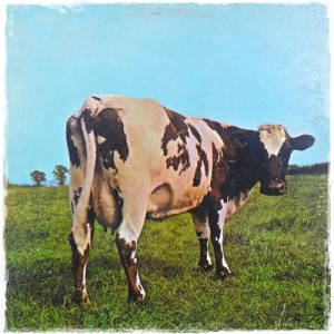 2009 Cow